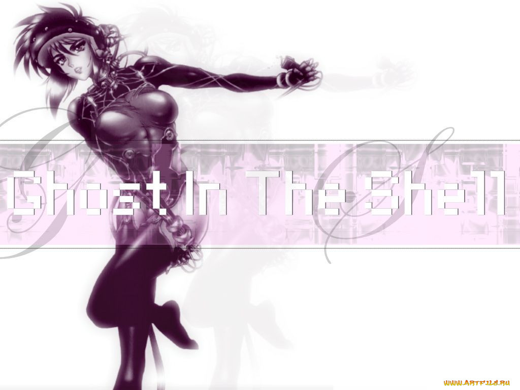 , ghost, in, the, shell